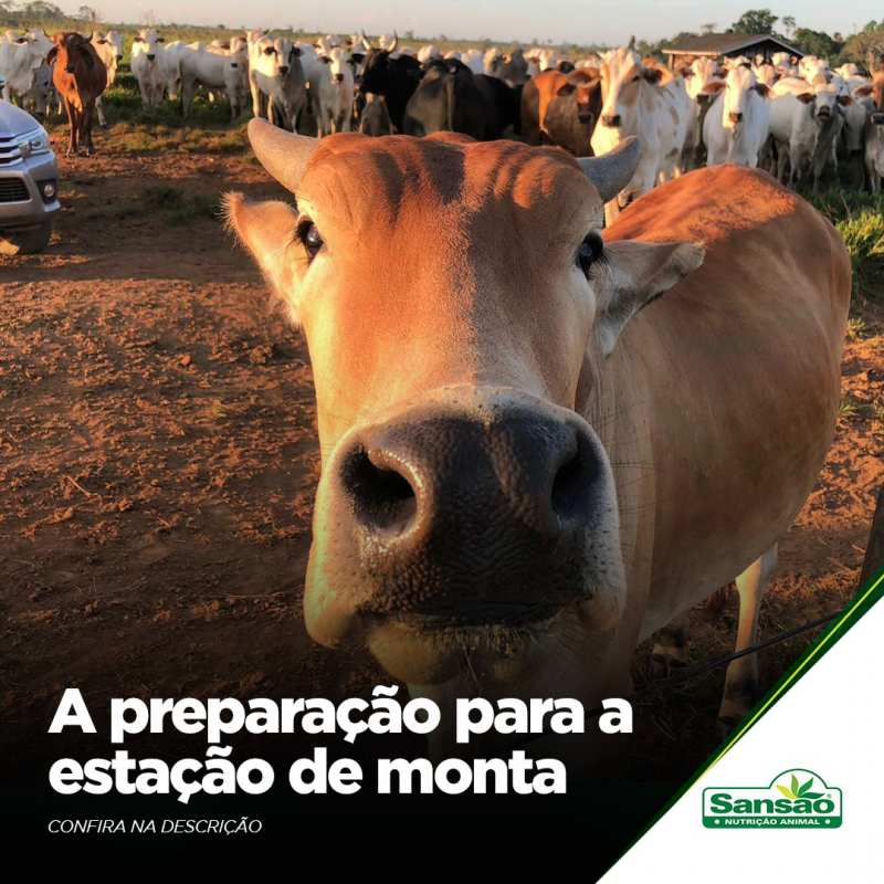 Estação de Monta