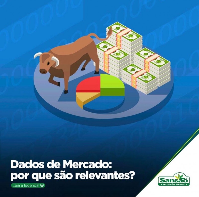 Dados de mercado: por que são relevantes?