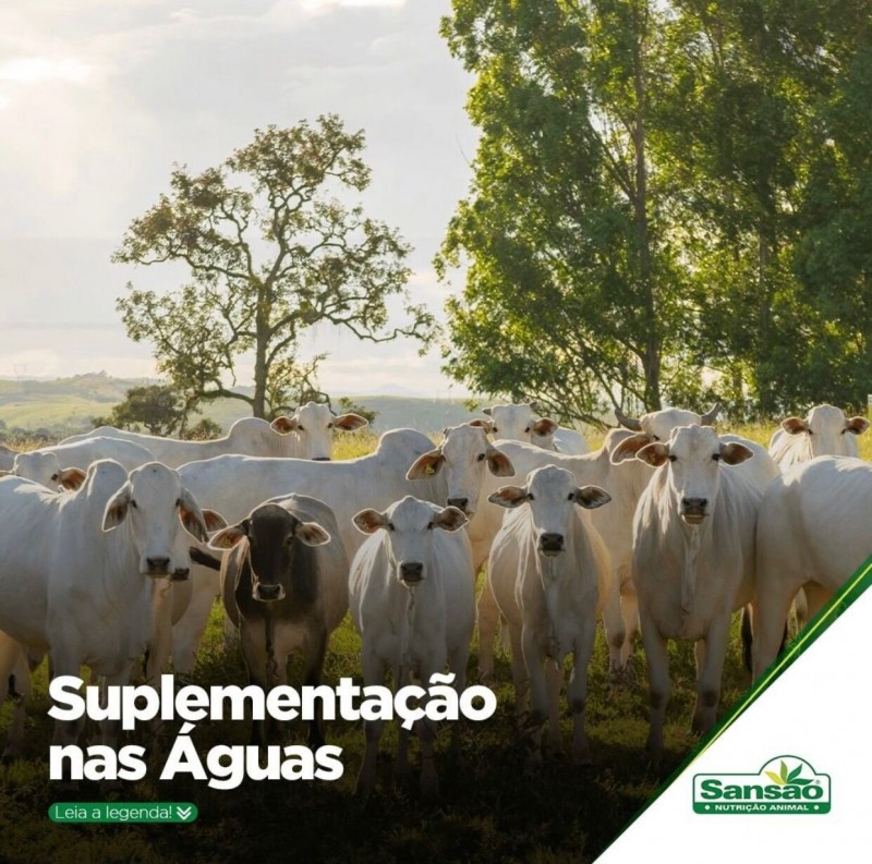 Suplementação nas Águas