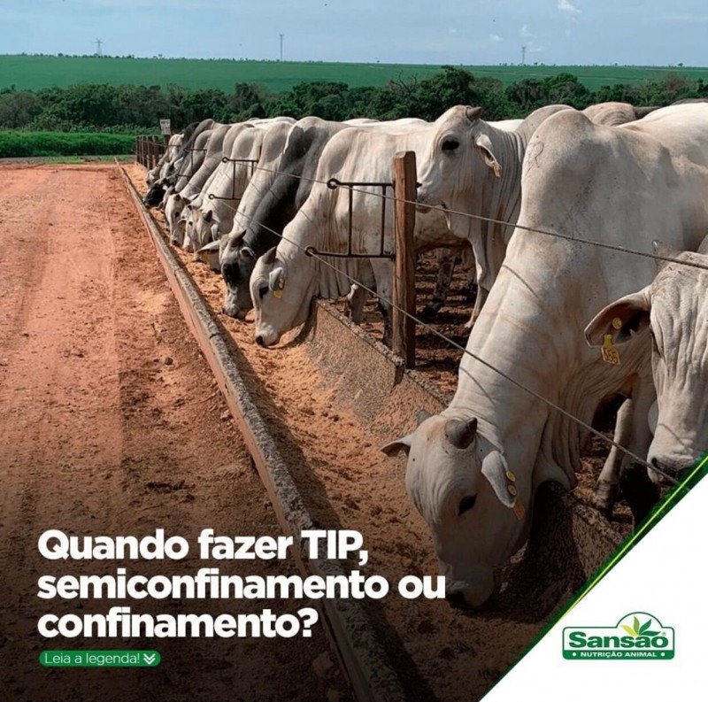Quando fazer TIP,  semiconfinamento ou confinamento?