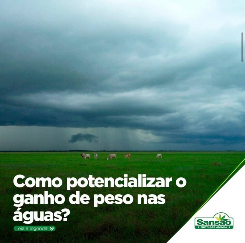 Como potencializar o ganho de peso nas águas?