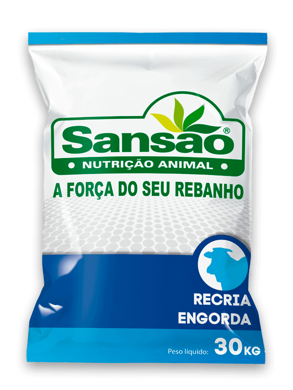 SANFÓS 60