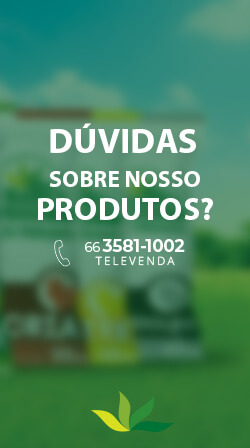 Dúvidas sobre nosso produtos?